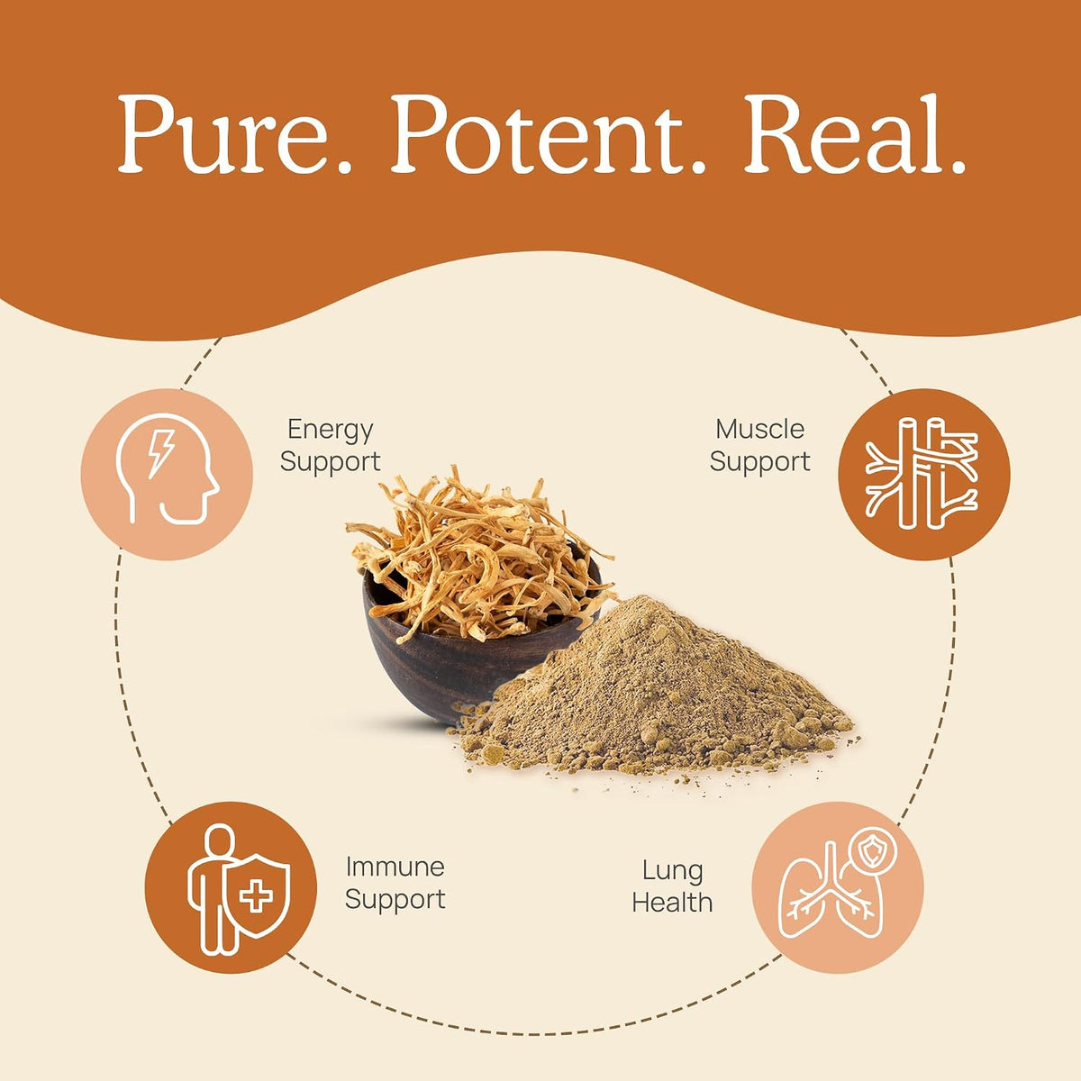 Real Mushrooms Brain, Vitality & Immune Support Bundle - Lion’s Mane Cognition Capsules (120 Capsules) + Reishi 415 Longevity Capsules (90 Capsules) & Cordyceps-M Peak Performance (120 Capsules)