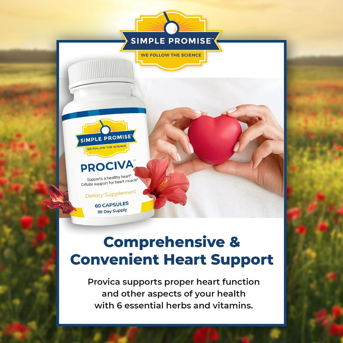Prociva - Arjuna Bark Extract Supplement - Healthy Blood Pressure Support | Ayurvedic Heart Formula, Circulation and Rhythm Support, Folic Acid and Magnesium, Simple Once-Daily Routine, Non-GMO
