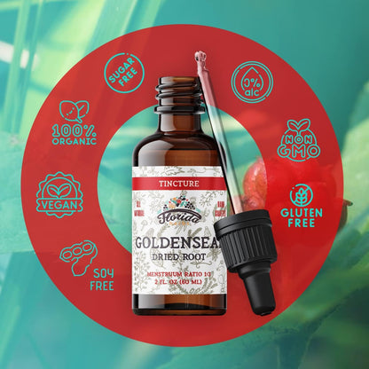 Goldenseal Tincture 2 oz – Organic Herbal Extract | Alcohol Free | Vegan Herbal Drops - Made in USA