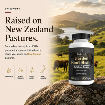 Primal Being Grassfed Beef Brain, Supports Memory, Mood, Focus, Energy, Cognitive Health - 90 Capsules, 1500mg per Serving