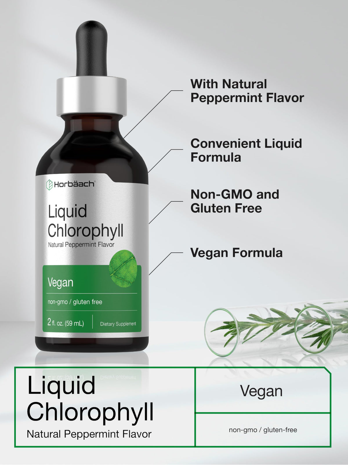 Horbäach Liquid Chlorophyll Drops | 2 oz | Vegan, Non-GMO, and Gluten Free Formula | Natural Peppermint Flavor