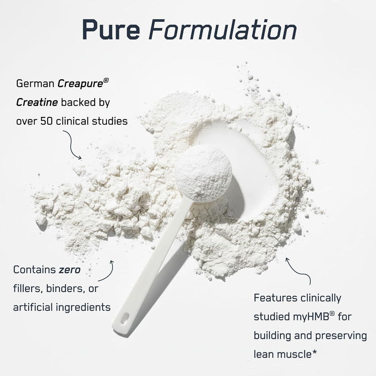SteelFit Creatine HMB Powder - 5g Creapure Creatine Monohydrate Powder | 3g myHMB & 1000 IU Vitamin D, Workout Supplement Supports Muscle Growth, Strength, Recovery, Energy - Unflavored, 30 Servings
