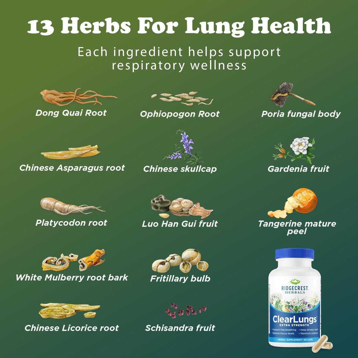 RidgeCrest Herbals ClearLungs Extra Strength, Daily Health Supplement, Natural Lung and Nasal Wellness Formula
