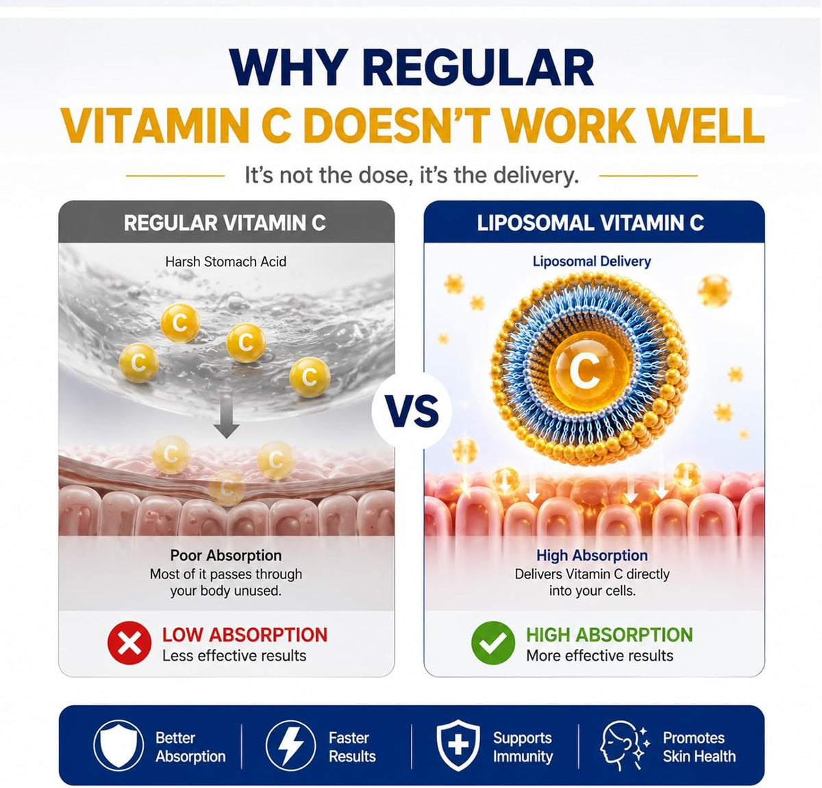 Liposomal Vitamin C Liquid 500mg - High Absorption Vitamin C Supplement for Immune Support, Collagen Production & Antioxidant Protection, Skin Glow, Gentle on Stomach, Non-GMO, 1.7 fl oz