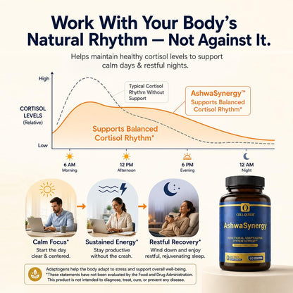 Adaptogen Cortisol Manager - NooGandha® & Shoden® Dual Ashwagandha | 35% Withanolide Glycosides for Healthy Cortisol Levels, Relaxation, Stress Relief, Calm Focus & Daily Balance - 60 Softgels