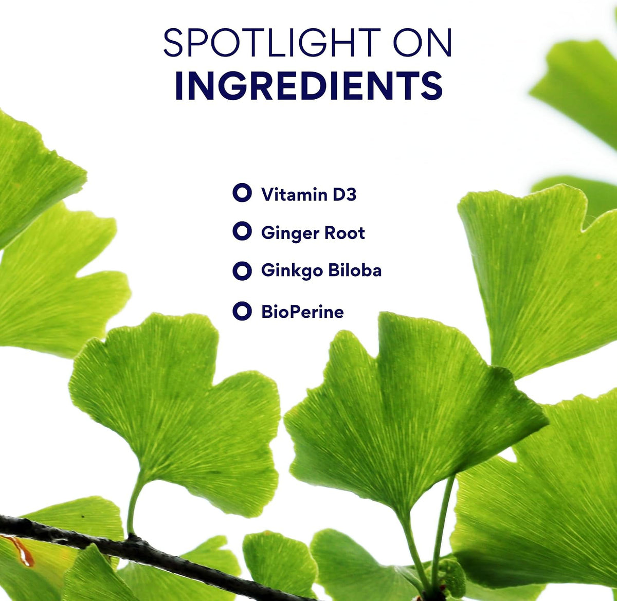 Research Verified Vertigo Defense - Soothe Symptoms and Support Inner Ear Balance - Vitamin D3, Ginger, Ginkgo Biloba, BioPerine - 60 Capsules