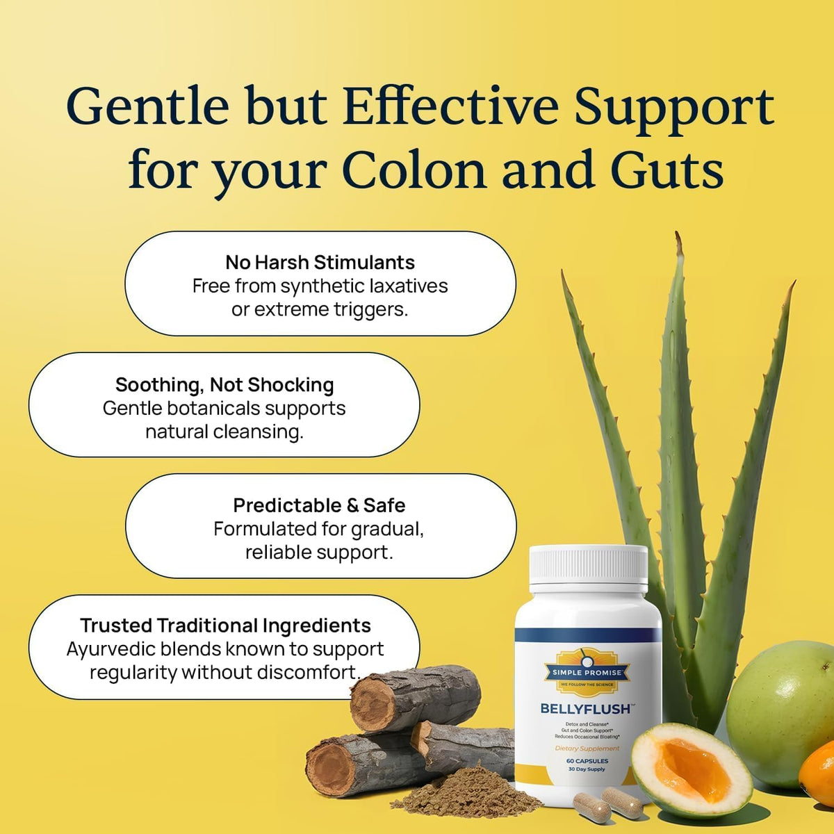 BellyFlush - Gut & Colon Cleanse Capsules For Adults - Bentonite Clay | 3-Phase Gentle Cleanse, Constipation & Bloating Relief, Milk Thistle Blend, Simple 2-Capsule Routine, Non-GMO