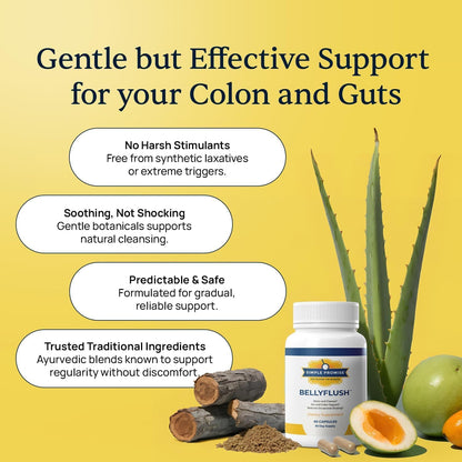 BellyFlush - Gut & Colon Cleanse Capsules For Adults - Bentonite Clay | 3-Phase Gentle Cleanse, Constipation & Bloating Relief, Milk Thistle Blend, Simple 2-Capsule Routine, Non-GMO