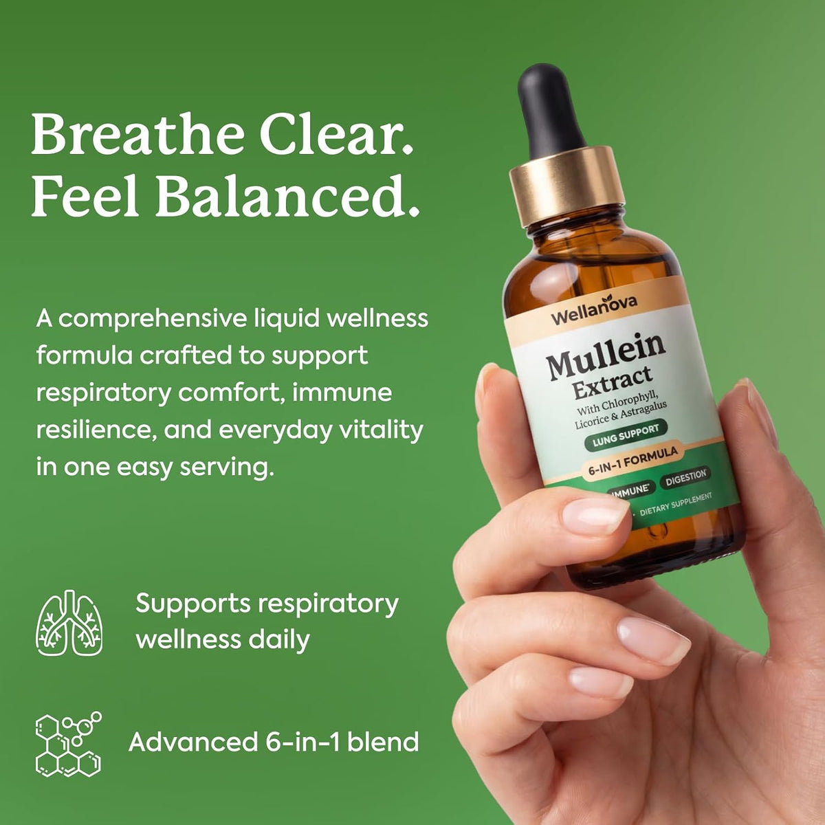 Mullein Drops for Lungs - Mullein Leaf Extract Supplement | for Women & Men, 6-in-1 Lung Detox And Bronchial Cleanse For Smokers, Respiratory Health Support, 2 Fl Oz
