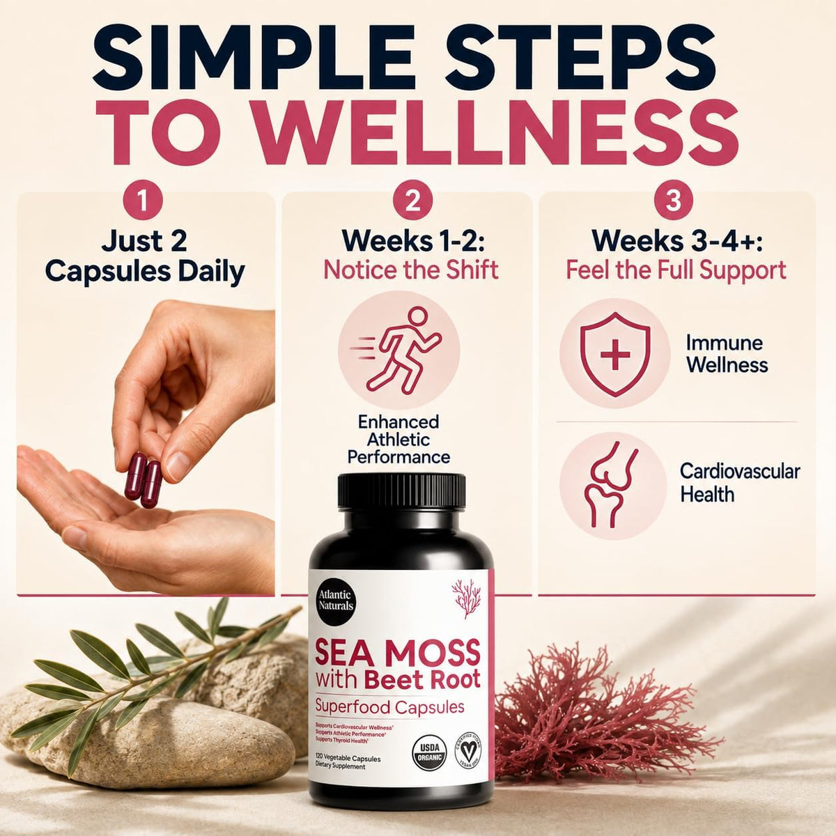 Atlantic Naturals Sea Moss with Beet Root Capsules - Premium Quality Multivitamin Supplement - Sea Moss Superfood to Support Immune Health, Blood Flow, Joint Health & Athletic Performance - 120 ct