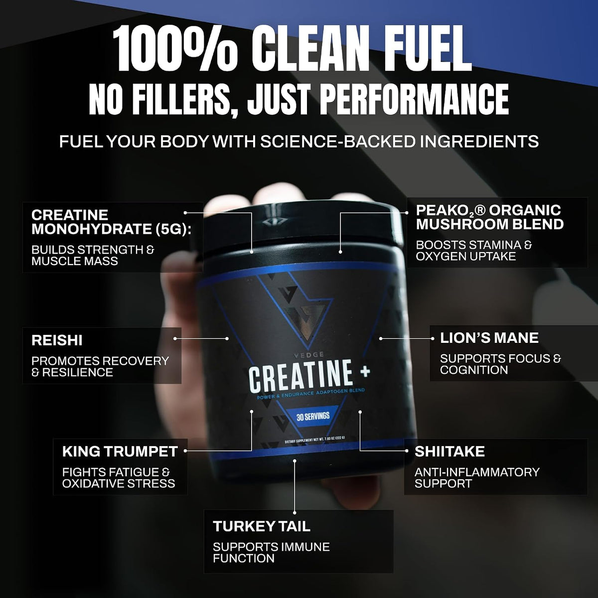 VEDGE Vanilla Protein Powder, Creatine Monohydrate, and Vegan Omega 3, Complete Vegan Performance Stack for Muscle Strength, Endurance & Recovery, Superfood Vitamin A, Vitamin C, and Amino Acids