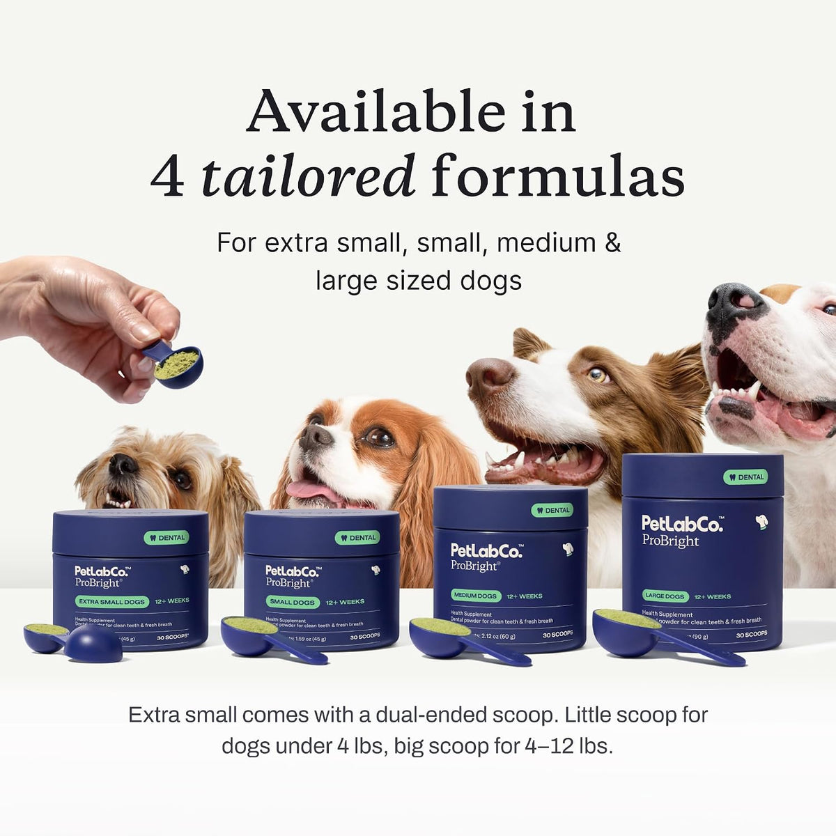 PetLab Co. – Seasonal Allergy Support & Dental Care in One Routine - Allergy & Immune Chews + ProBright Dental Powder for Total Wellness Inside & Out - Small Dogs
