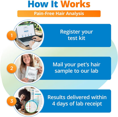 5Strands Pet Nutritional Imbalance Test, Health Assessment for Dogs & Cats