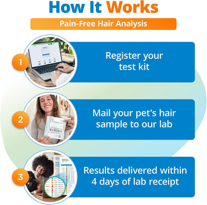 5Strands Comprehensive Pet Health Assessment, 1500 Items Tested, All Breeds