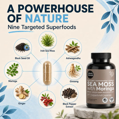 Sea Moss Capsules – Irish Sea Moss with Black Seed Oil, Ashwagandha, Moringa, Ginseng & Ginger for Energy, Vitality & Wellness – Seamoss Nutritional Supplement – Made in USA – 60 Capsules