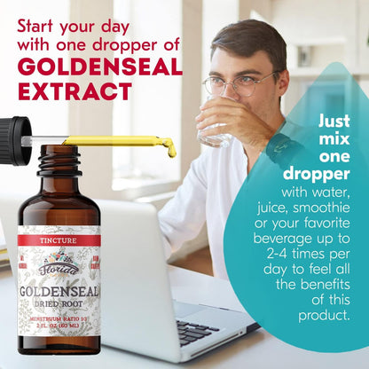 Goldenseal Tincture 2 oz – Organic Herbal Extract | Alcohol Free | Vegan Herbal Drops - Made in USA