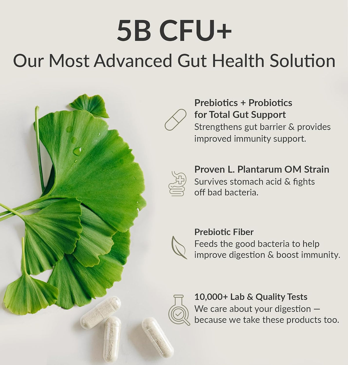 BiOptimizers Digestive Health Bundle – MassZymes Enzymes & Probiotic Breakthrough with Prebiotics – Max Nutrient Absorption, Gut & Immune Support – Energy, Recovery & Clarity – 60 Vegan Capsules