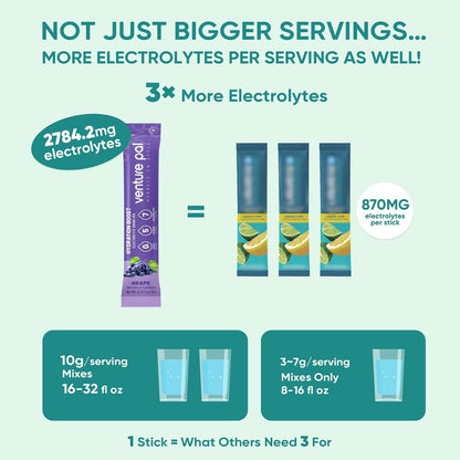Venture Pal Sugar Free Electrolyte Powder Packets - Liquid Daily IV Drink Mix for Rapid Hydration & Party Recovery | 5 Vitamins & 7 Electrolytes| Keto Friendly | Non-GMO | Certified Vegan | 16 Sticks