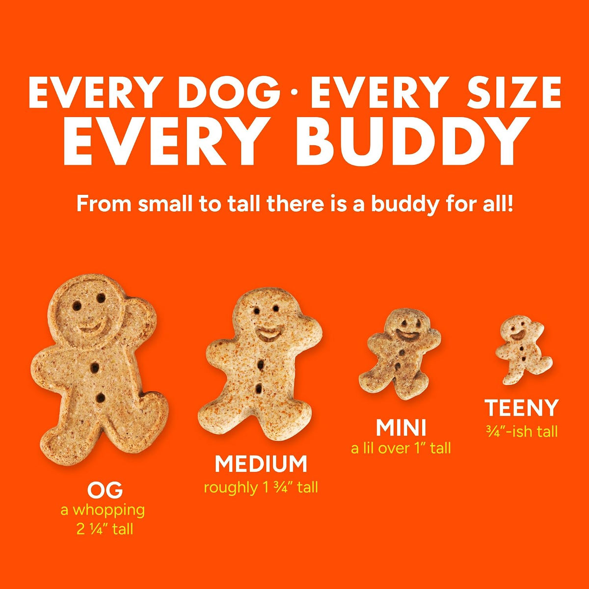 Buddy Biscuits Teeny Crunchy Dog Treats, Roasted Chicken, 8 oz. Box | Bite-sized Gingerkid Shape, Simple Ingredients, Free of Corn and Soy, Oven Baked in the USA