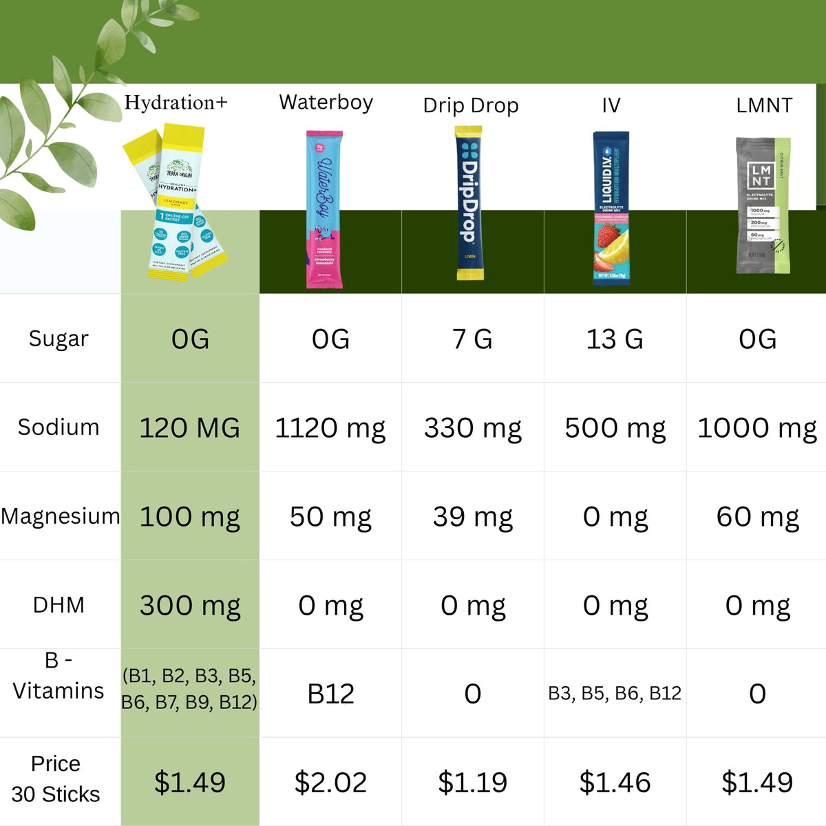 TERRA ORIGIN Healthy Hydration+ Electrolyte Powder Packets | Sugar Free, Gluten Free Drink Mix | Lemonade | 30 Servings (1-Pack)