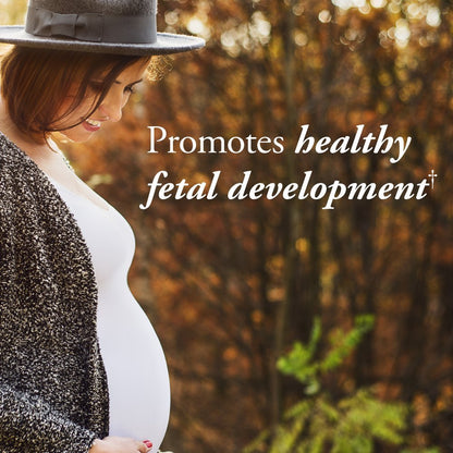 Garden of Life Once Daily Vegan DHA + Prenatal Multi Bundle: Dr Formulated Vegan DHA