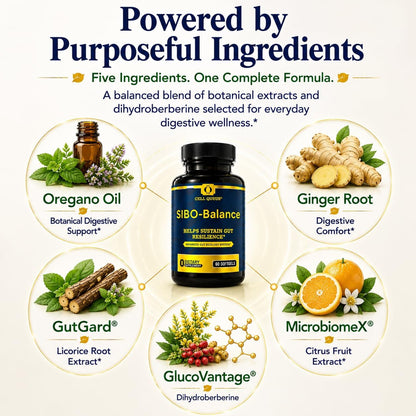 SIBO-Balance Gut Health Supplement with Dihydroberberine 60 Softgels | with Oregano Oil, Ginger, GutGard® Licorice & MicrobiomeX® Citrus | Supports Gut Microbial Balance, Digestive Health