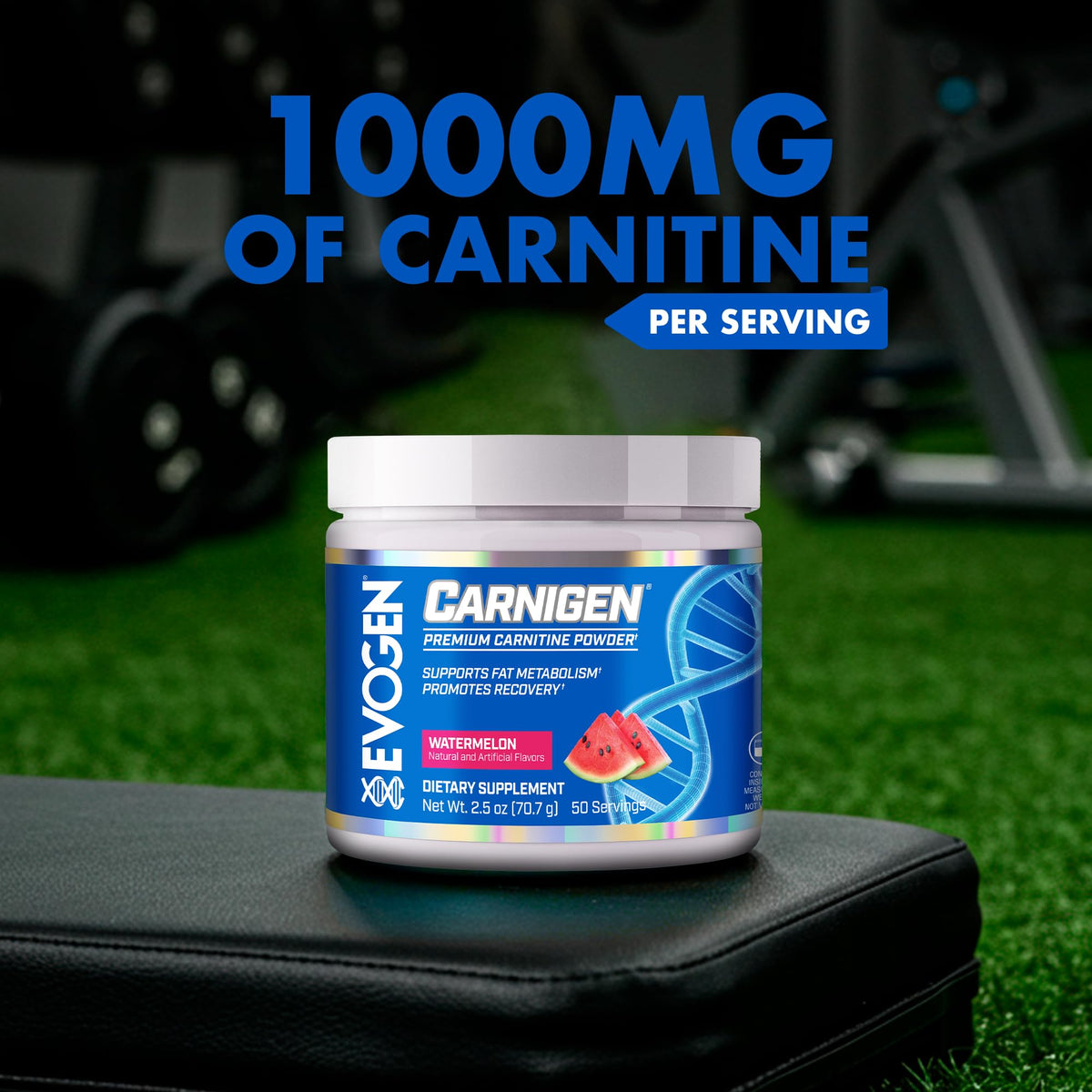 Evogen Carnigen Supports Energy and Metabolism | Raspberry Lemonade | 50 Servings