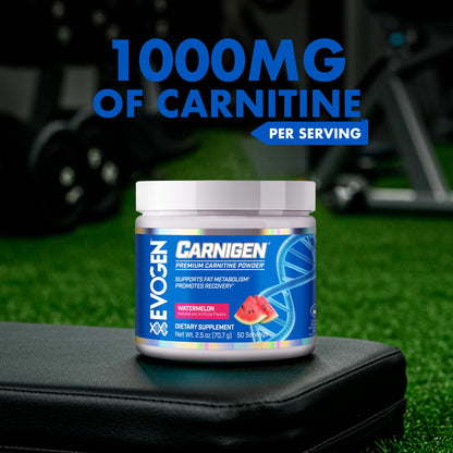 Evogen Carnigen Supports Energy and Metabolism | Raspberry Lemonade | 50 Servings