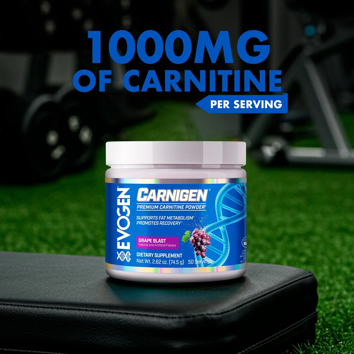 Evogen Carnigen Supports Energy and Metabolism | Raspberry Lemonade | 50 Servings