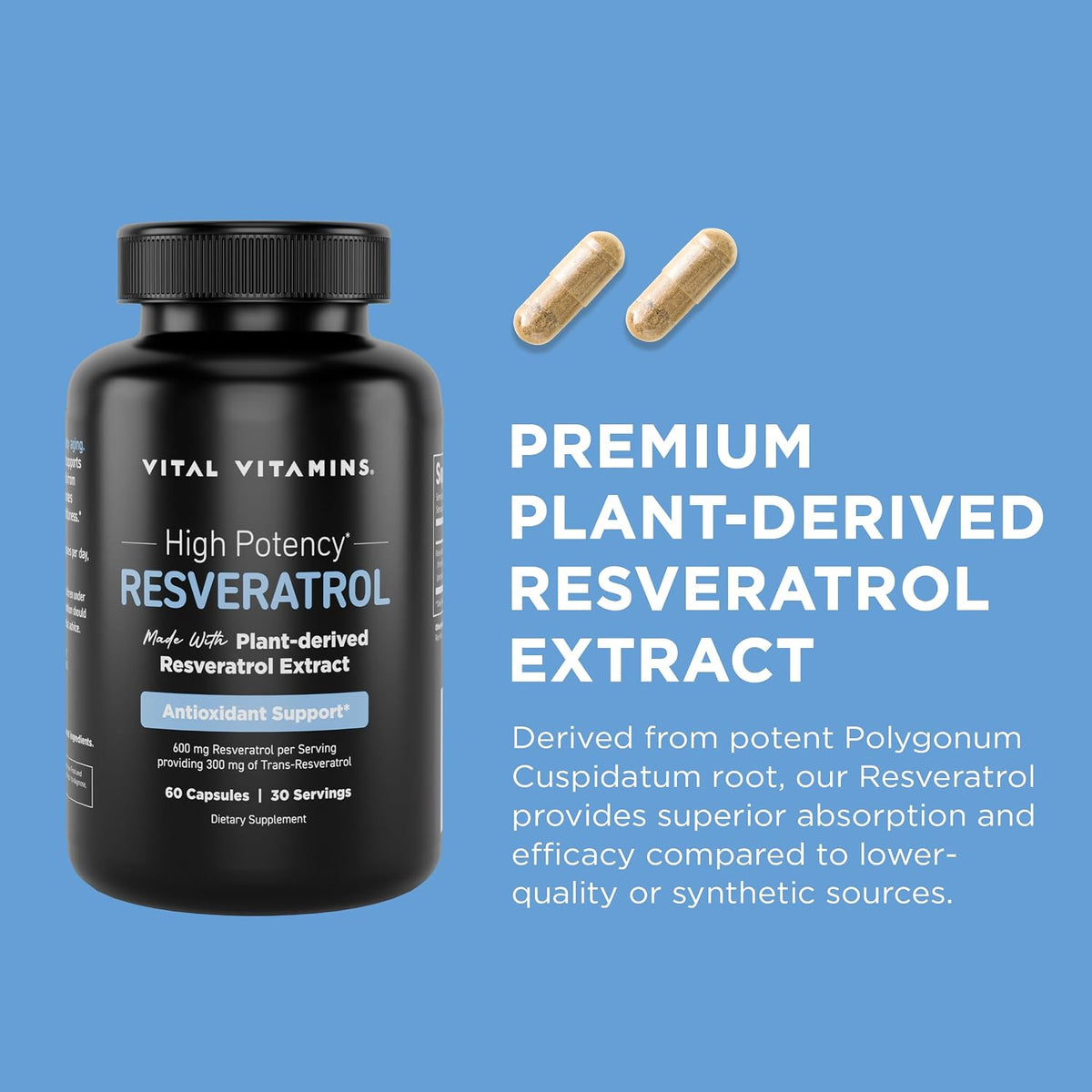 Vital Vitamins Resveratrol, 600mg with 300mg Trans-Resveratrol | Antioxidant Support for Cellular Longevity & Cognitive Function, Non-GMO, 60 Capsules