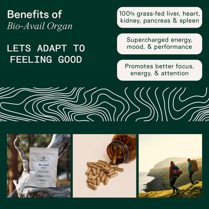 Adapt Naturals Beef Organ Supplement, Bioavailable Grass Fed Organ Capsules | Blend of Beef Liver, Heart, Kidney, Pancreas, Spleen, Supports Liver Cleanse Detox & Repair, Source of CoQ10 - 30 Days Supply