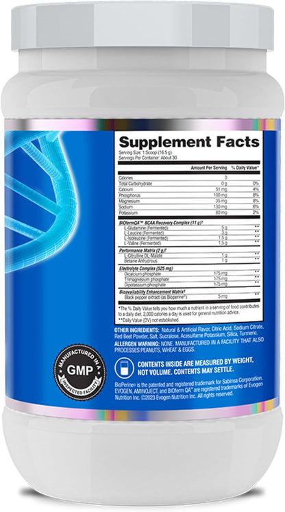 Evogen AminoJect Recovery Formula | Watermelon | 30 Servings | 6g fermented plant-based BCAAs, 5g glutamine, electrolytes, betaine and L-citrulline for hydration and endurance