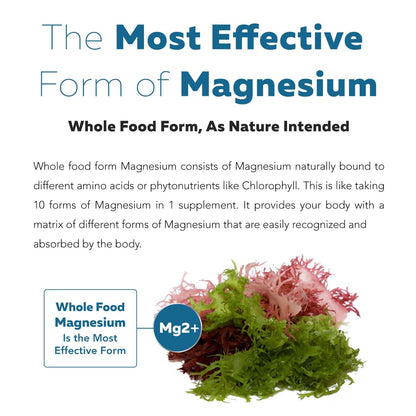 Organic Whole Food Magnesium Supplement - Plant-Based, Organic Sea Vegetable Complex - 250 mg Per Serving | Water Extracted | Gentle on Stomach | Supports Energy, Sleep, Muscle, Heart - 60 Capsules