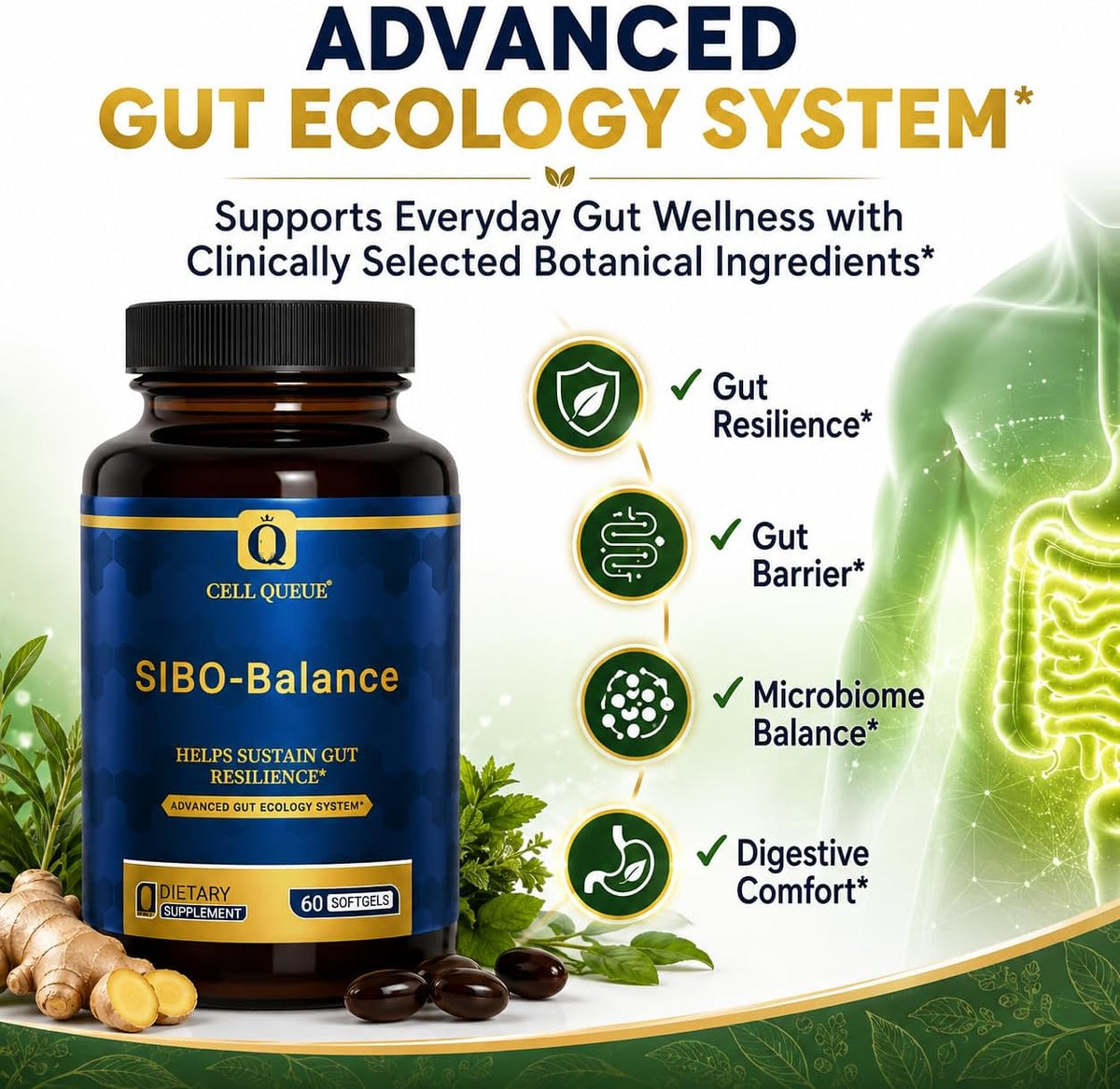 SIBO-Balance Gut Health Supplement with Dihydroberberine 60 Softgels | with Oregano Oil, Ginger, GutGard® Licorice & MicrobiomeX® Citrus | Supports Gut Microbial Balance, Digestive Health