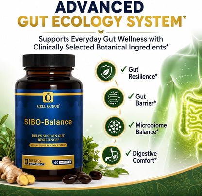 SIBO-Balance Gut Health Supplement with Dihydroberberine 60 Softgels | with Oregano Oil, Ginger, GutGard® Licorice & MicrobiomeX® Citrus | Supports Gut Microbial Balance, Digestive Health