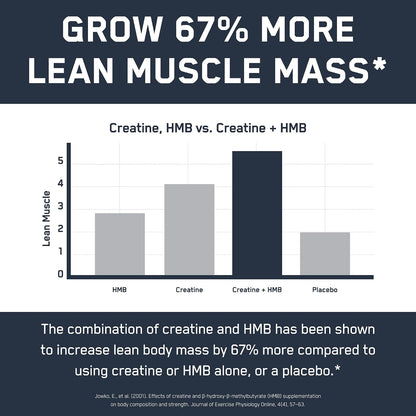 SteelFit Creatine HMB Powder - 5g Creapure Creatine Monohydrate Powder | 3g myHMB & 1000 IU Vitamin D, Workout Supplement Supports Muscle Growth, Strength, Recovery, Energy - Unflavored, 30 Servings