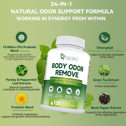 Chlorophyll Body Deodorizing Supplement, Chlorophyll Capsules with Parsley & Peppermint, Probiotic, Green Tea, Jerusalem Artichoke, Prebiotic, Supports Fresh Breath & Whole-Body Freshness, 120 Caps