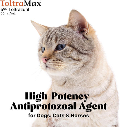 ToltraMax Toltrazuril 5.0% for Horses, Dogs, Cats, 240mL/8.1 Ounce, for Non-Food Chain Animals, Marshmallow Flavor