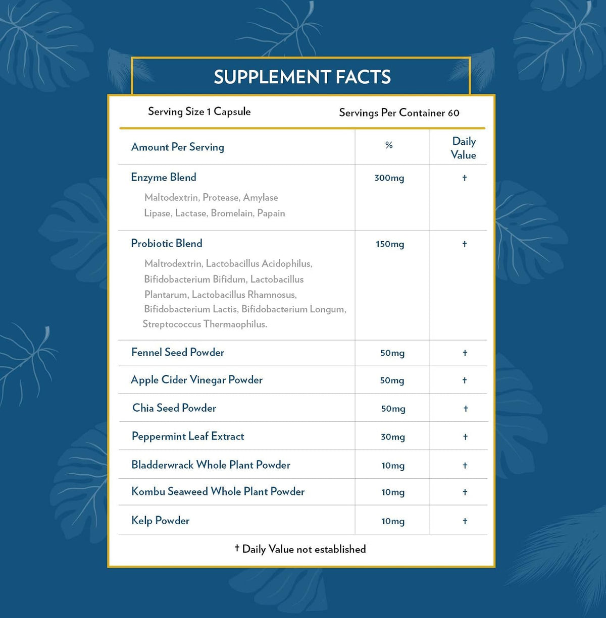 TERRA ORIGIN Digestive Enzymes with Probiotics & Prebiotics | 60 Capsules | Supports Digestive Gut Health | Non GMO, Gluten Free, Vegan | for Women and Men