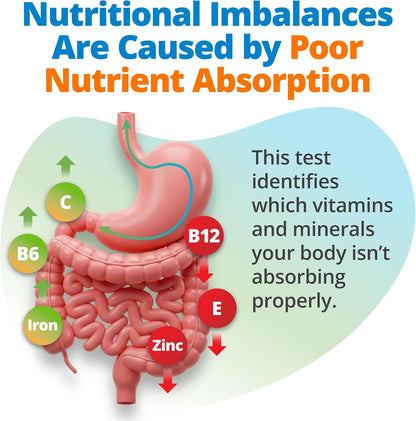 5Strands Comprehensive Health & Wellness Assessment, 1350 Items Tested