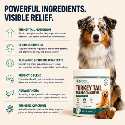 Turkey Tail Mushroom for Dogs – Mushroom Chews with Reishi & Probiotics – Dog Vitamins & Supplements for Immune Support, Gut Health, Brain Function & Daily Wellness – Duck Flavor – 90 Soft Chews