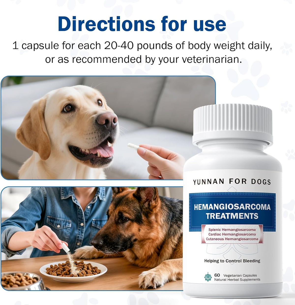 Fast Acting Bleeding Control for Dogs - Yunnan Sanqi Herbal Capsules | Supports Internal Bleeding, Hemangiosarcoma, Nosebleeds, Bloody Stools, Post-Surgical Recovery, 60 Capsules