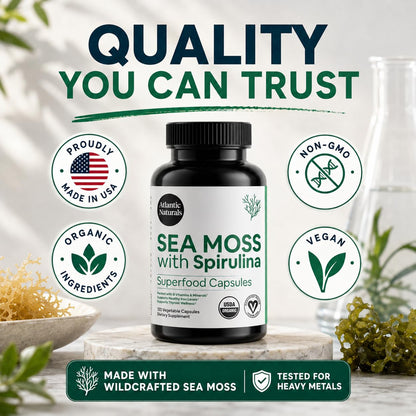 Atlantic Naturals Sea Moss with Beet Root Capsules - Premium Quality Multivitamin Supplement - Sea Moss Superfood to Support Immune Health, Blood Flow, Joint Health & Athletic Performance - 120 ct