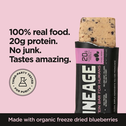 Lineage Provisions Chocolate Protein Bars, 12 Pack | 20g grass fed whey protein & collagen, gluten free, no seed oils, nothing artificial, with raw honey