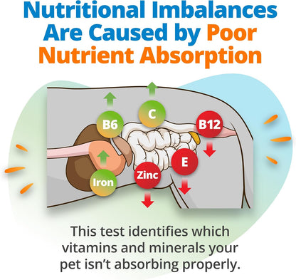 5Strands Pet Nutritional Imbalance & Food Intolerance & Environmental Sensitivity Test, At Home Hair Analysis for Dogs & Cats, Identify Nutrient Gaps & Dietary Stressors, Results in 4 Days
