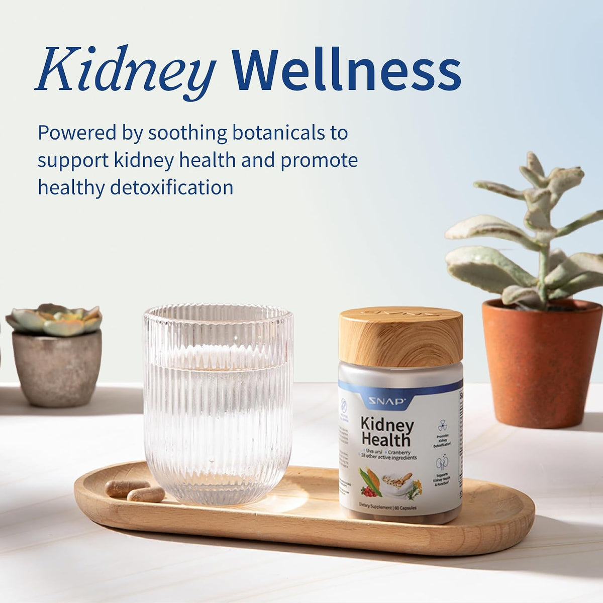 Snap Supplements Kidney Health Support Supplement for Women & Men, 60 Count | Organic Cranberry Extract, Grape Seed Extract, Urinary Tract Support, Non-GMO Vegan Formula