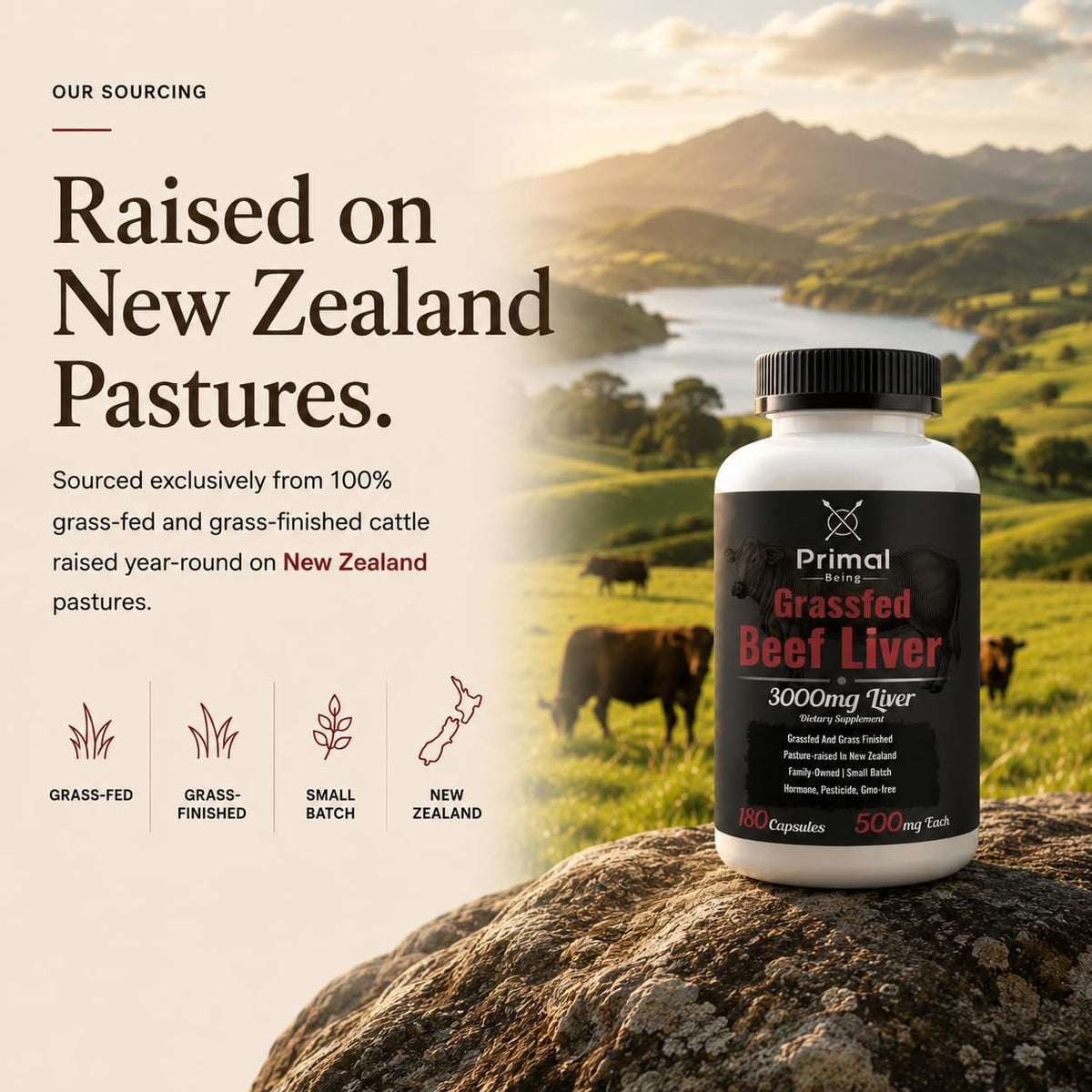 Primal Being Grassfed Beef Liver - 3000mg Freeze Dried Capsules - Pasture Raised in New Zealand - Natural Beef Organ Supplement - Liver Supplement for Energy and Wellness - 180 Count