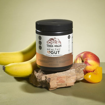 TERRA ORIGIN Healthy Gut Powder (Berry Flavor) |30-Servings with L-Glutamine, Zinc, Glucosamine, Slippery Elm Bark, Marshmallow Root and More!
