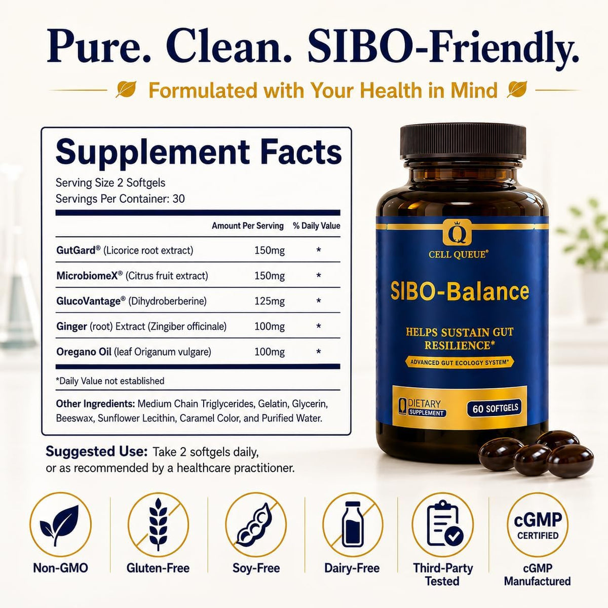 SIBO-Balance Gut Health Supplement with Dihydroberberine 60 Softgels | with Oregano Oil, Ginger, GutGard® Licorice & MicrobiomeX® Citrus | Supports Gut Microbial Balance, Digestive Health