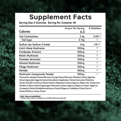24 in 1 Mushroom Brain Supplement Gummies for Boost Focus & Immune System, Memory & Energy Support, Coffee Alternative, Lions Mane Gummie for Kids and Adults, 60 Gummies